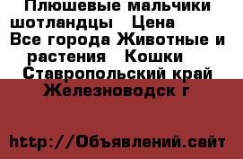 Плюшевые мальчики шотландцы › Цена ­ 500 - Все города Животные и растения » Кошки   . Ставропольский край,Железноводск г.